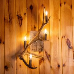 Antler wall lights